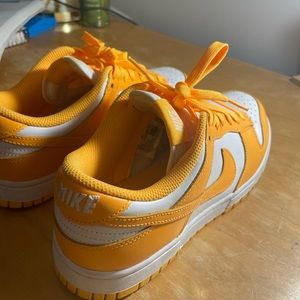 Orange Nike Dunks